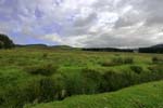 Cairngorms  National  Park 